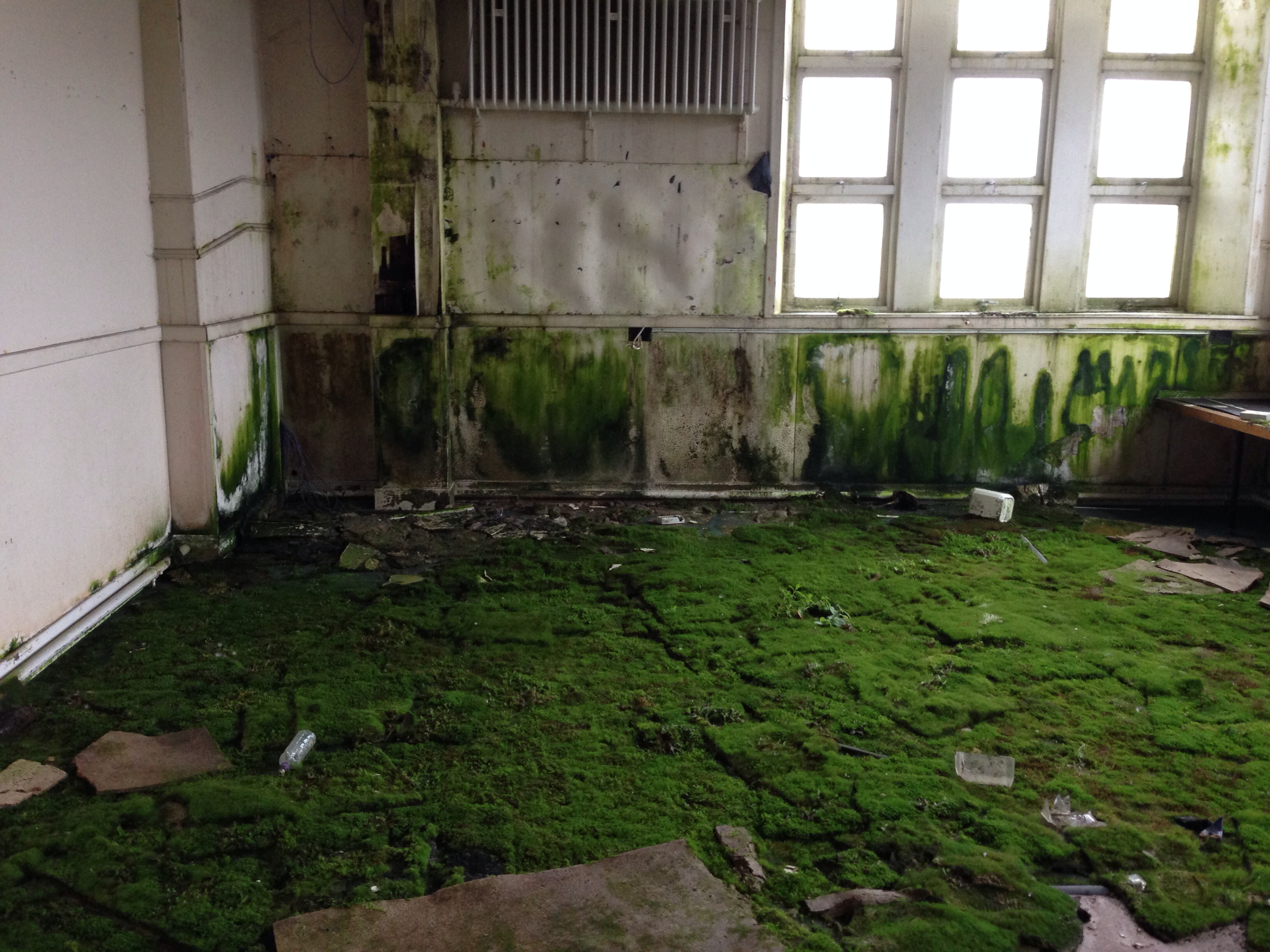 The School Playing Fields. Indoors.