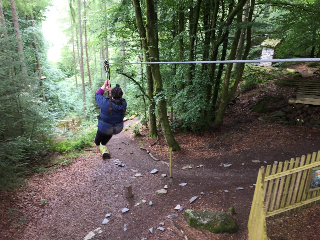 Monkeying Around at Go&nbsp;Ape