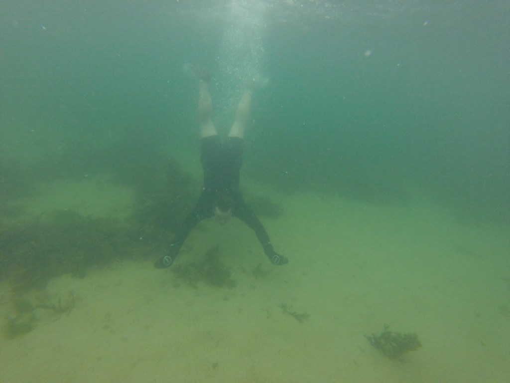 The Fife Swim Tour&nbsp;2024!